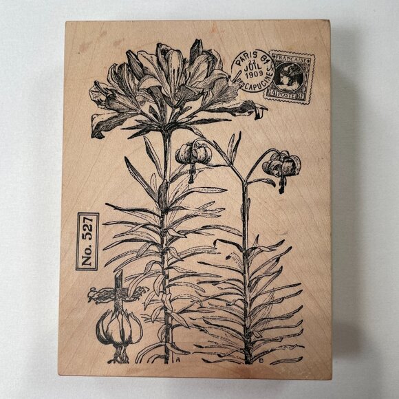 Vtg Stampa Rosa Wood Rubber Stamp Botanical Floral Set Scrapbooking Card Making - Picture 4 of 14